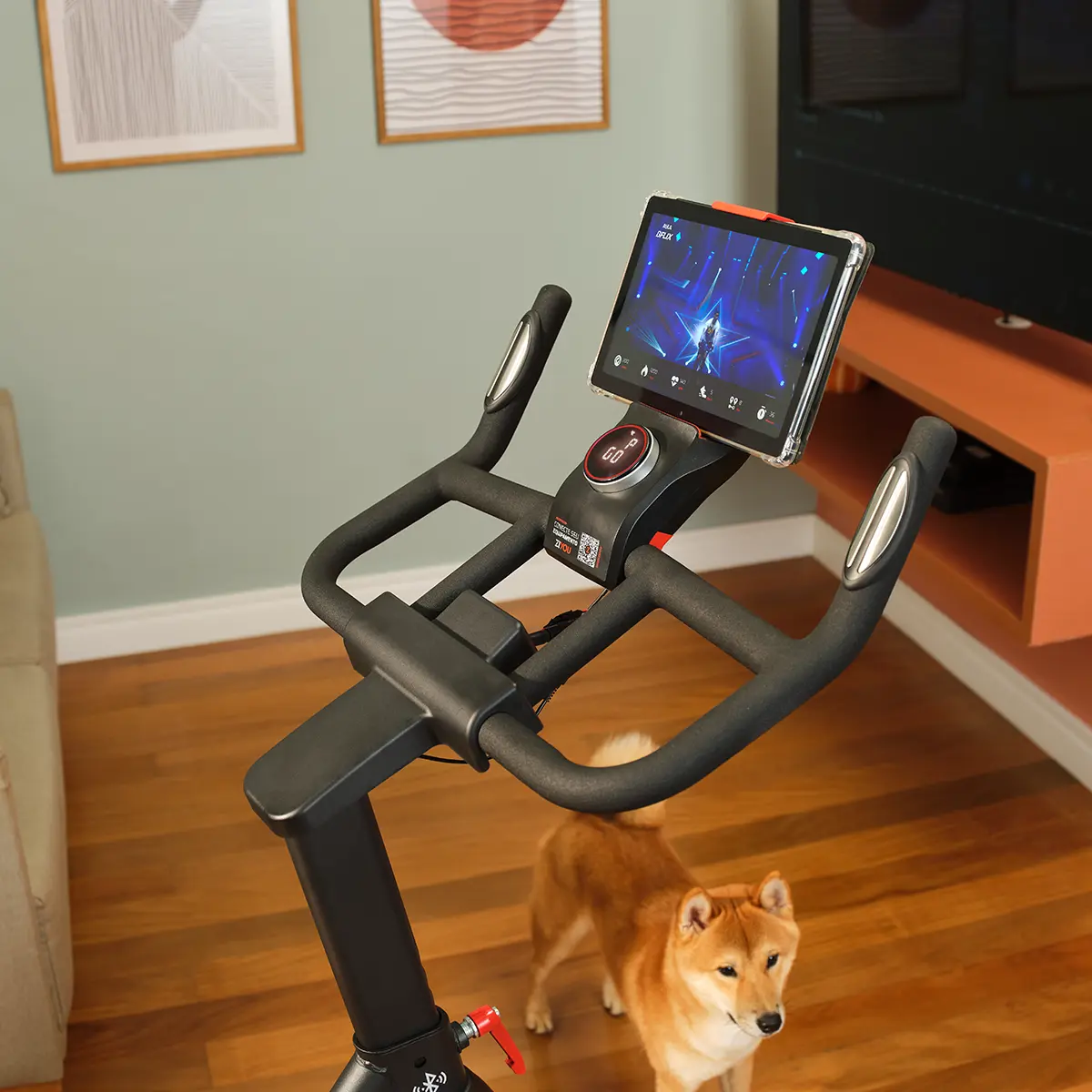 https://v2-allugator-images.s3.amazonaws.com/products/150-s_painel_c__tablet%20%281%29.webp