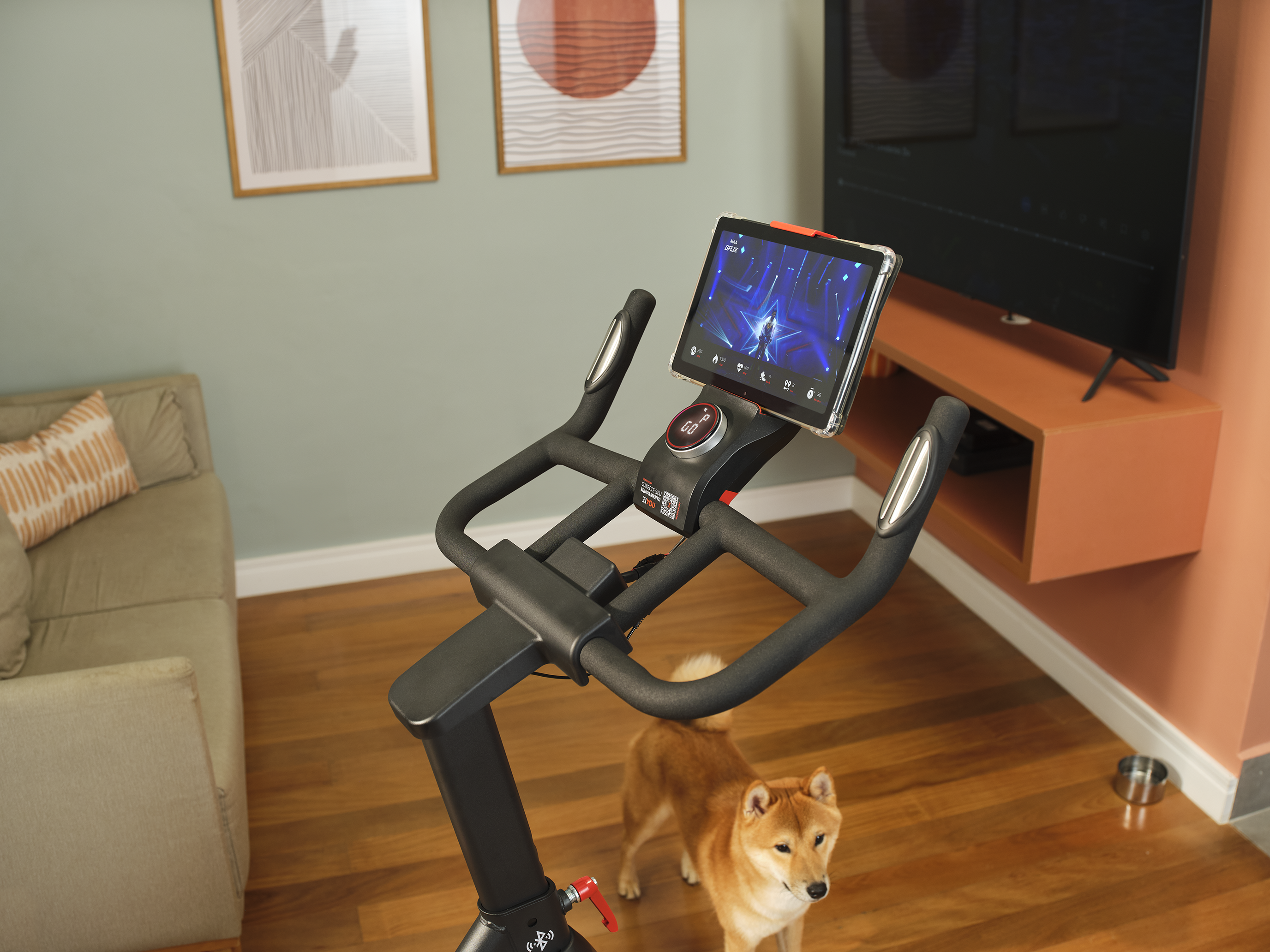 https://images.digital.allugator.com/products/bt2.png